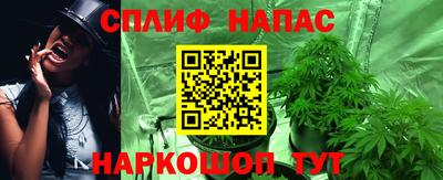 МДПВ Пушкино