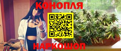 МДПВ Пушкино