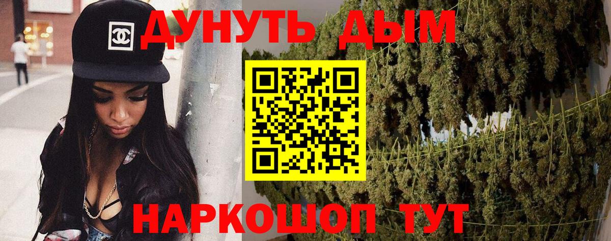 Канабис планчик Сибай